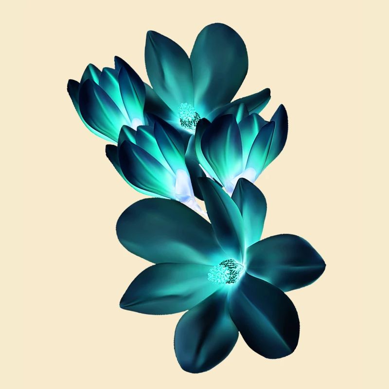 magnolia