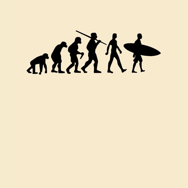 Surfer Evolution Surf