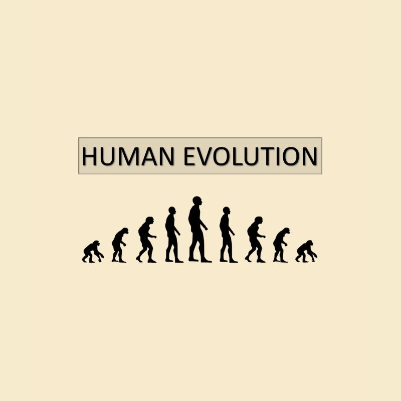 Human Evolution Funny Design