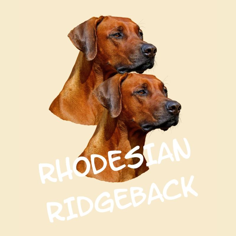 Rhodesian Ridgeback