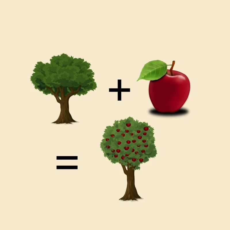 Plant + apple = apple tree
