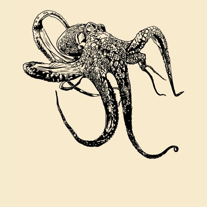OCTOPUS octopus drawn gift diving vacation