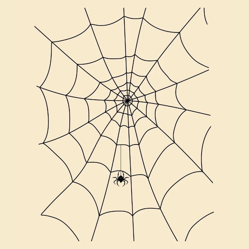 Spinnennetz, Spinne, Spinne im Netz