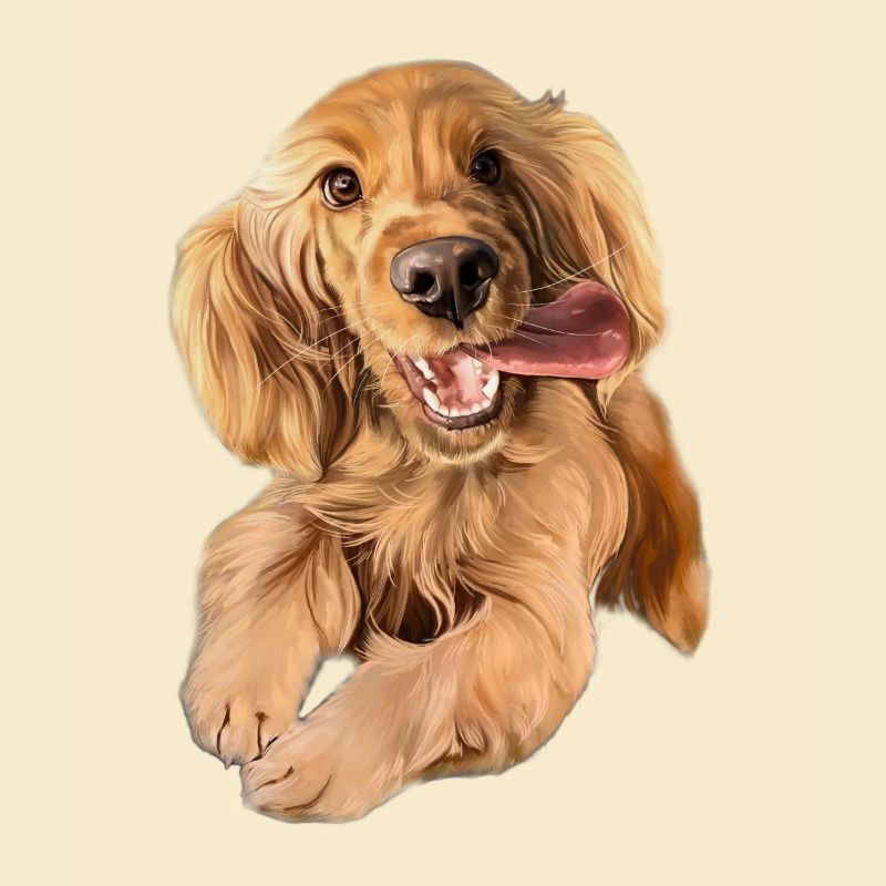 Springender Cocker Spaniel