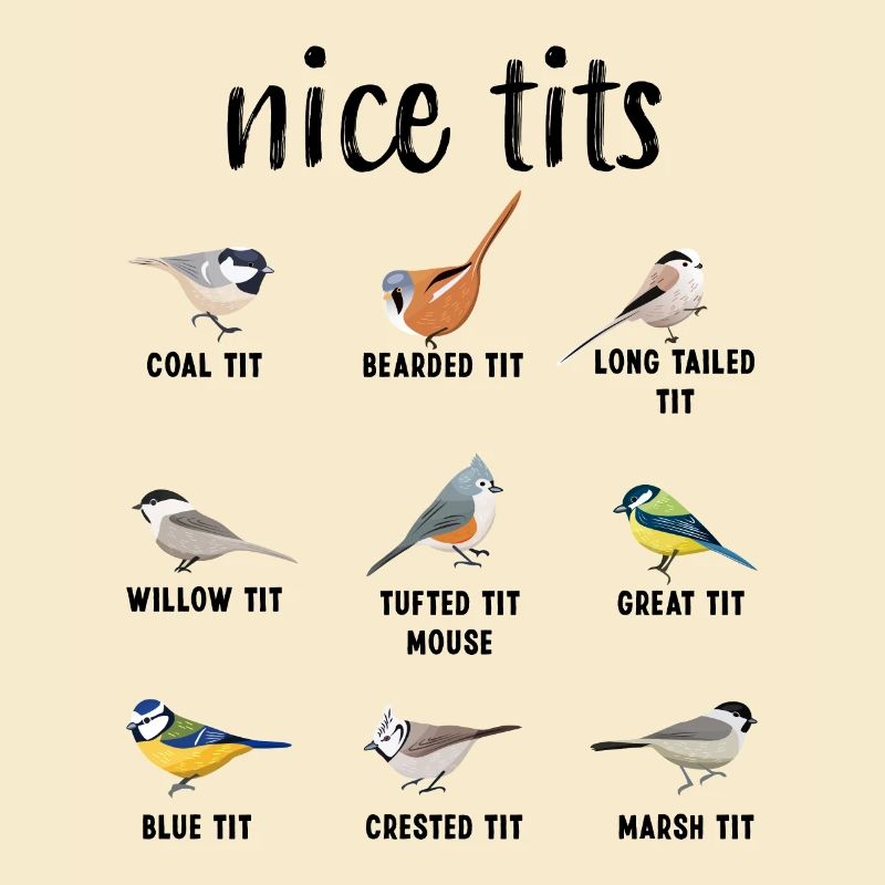 Nice Tits Tufted Titmouse Bird watching Gift Funny