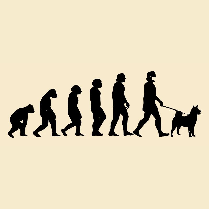 Evolution dog