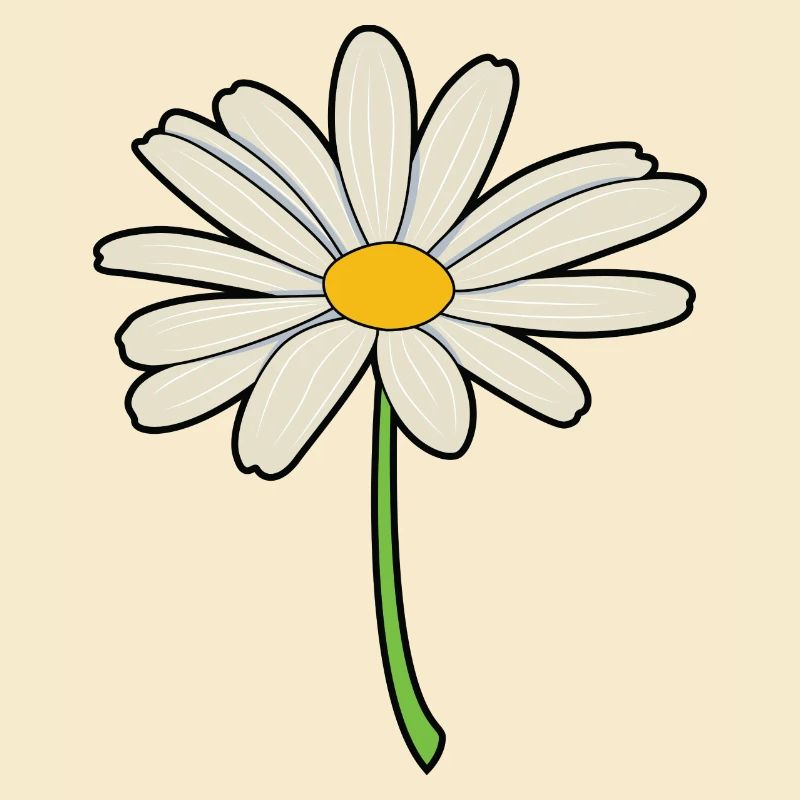 Gänseblümchen