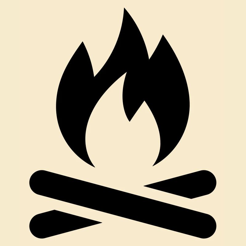 Feu de camp de feu