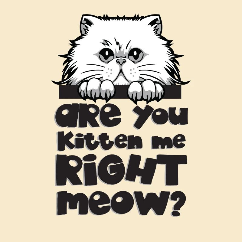 Cadeau chat chat face griffe course chat