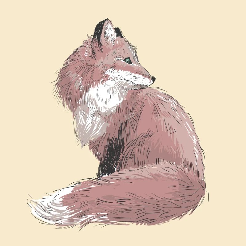 Fuchs