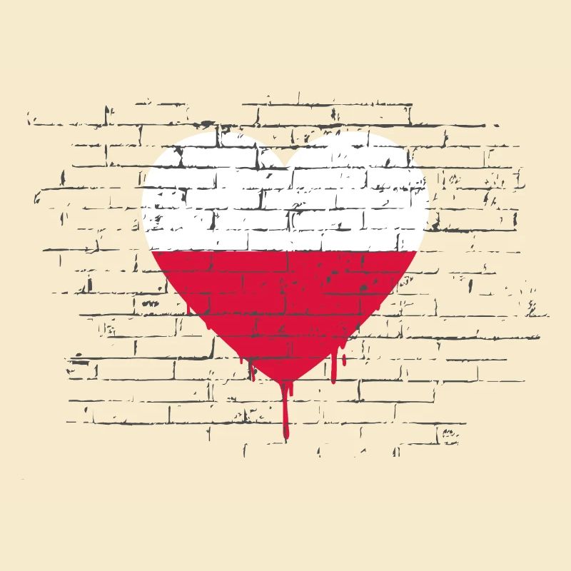 Pologne Drapeau utilisé Look Polska Drapeau polonais