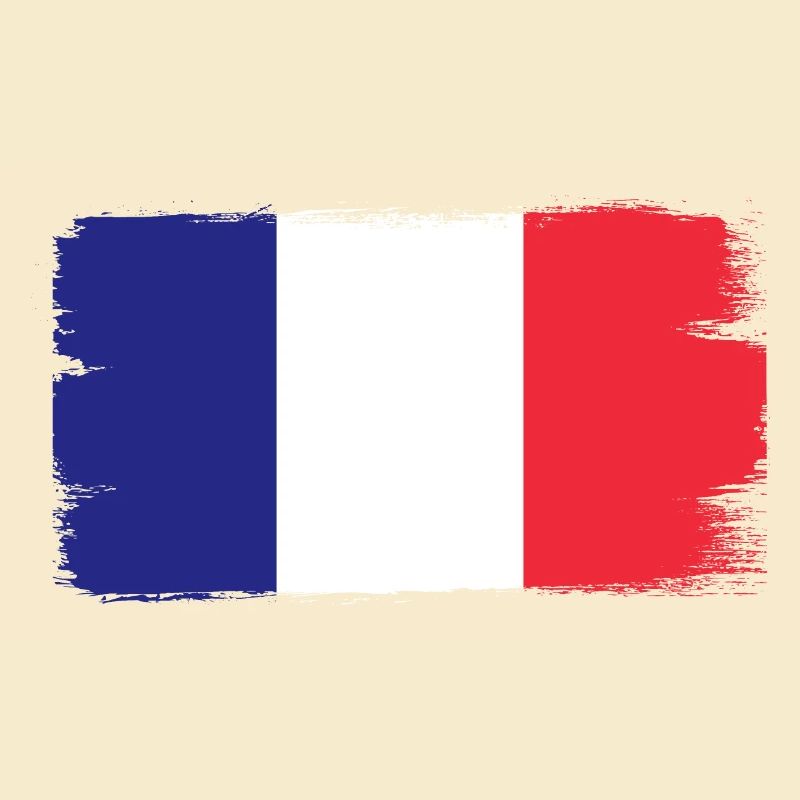 France Drapeau utilisé Look Drapeau français