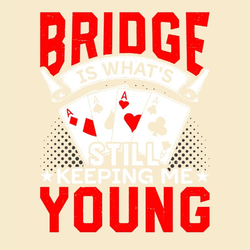 Expert en jeu de cartes Bridge Player Bridge