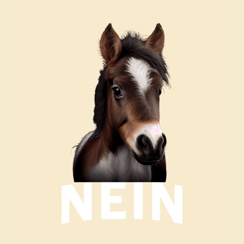 Statement Pferd, Nö Fun, Einfach Nö, Nein