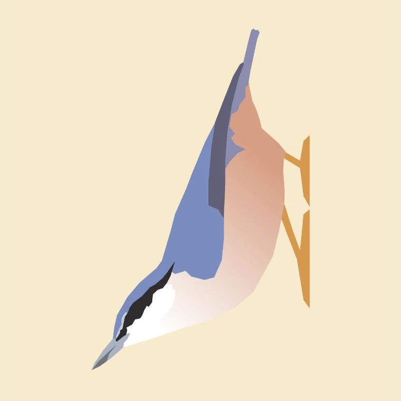 Nuthatch (sitta europaea)