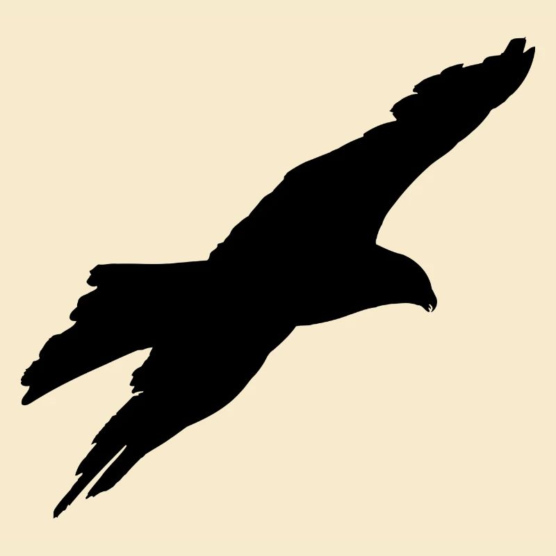 gliding eagle