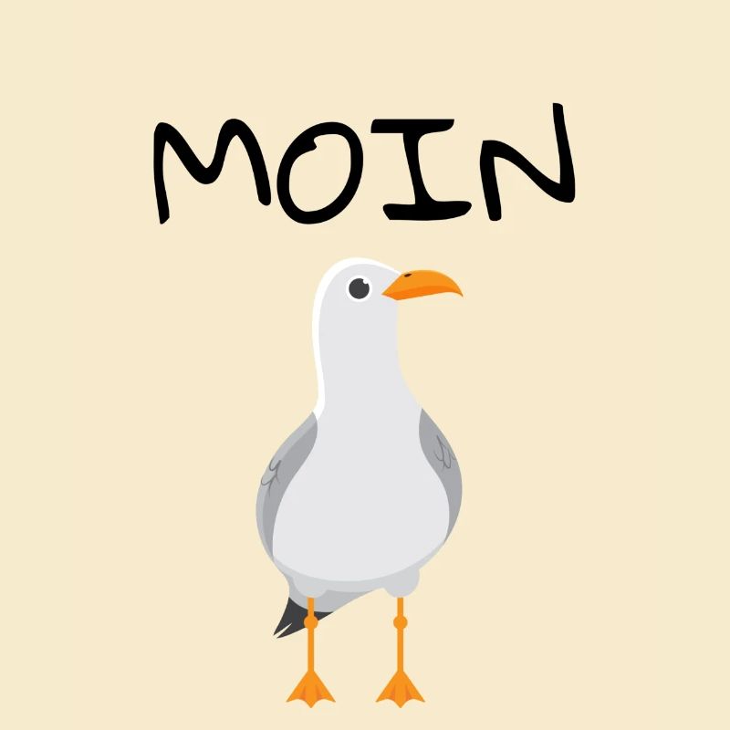 MOIN Möwe