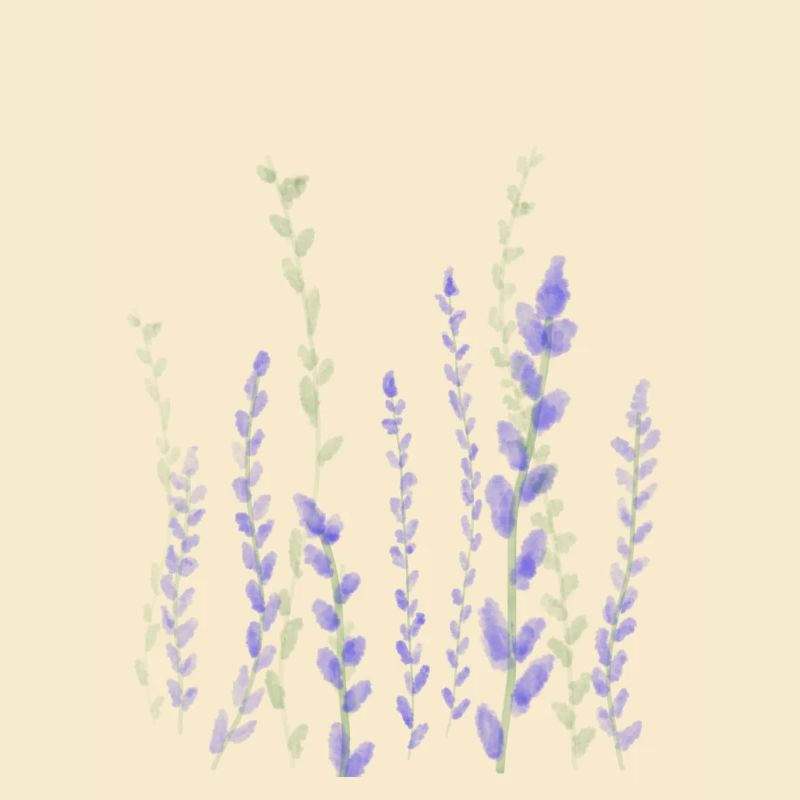 Lavendel