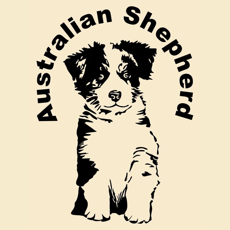 Australian Shepherd Welpe