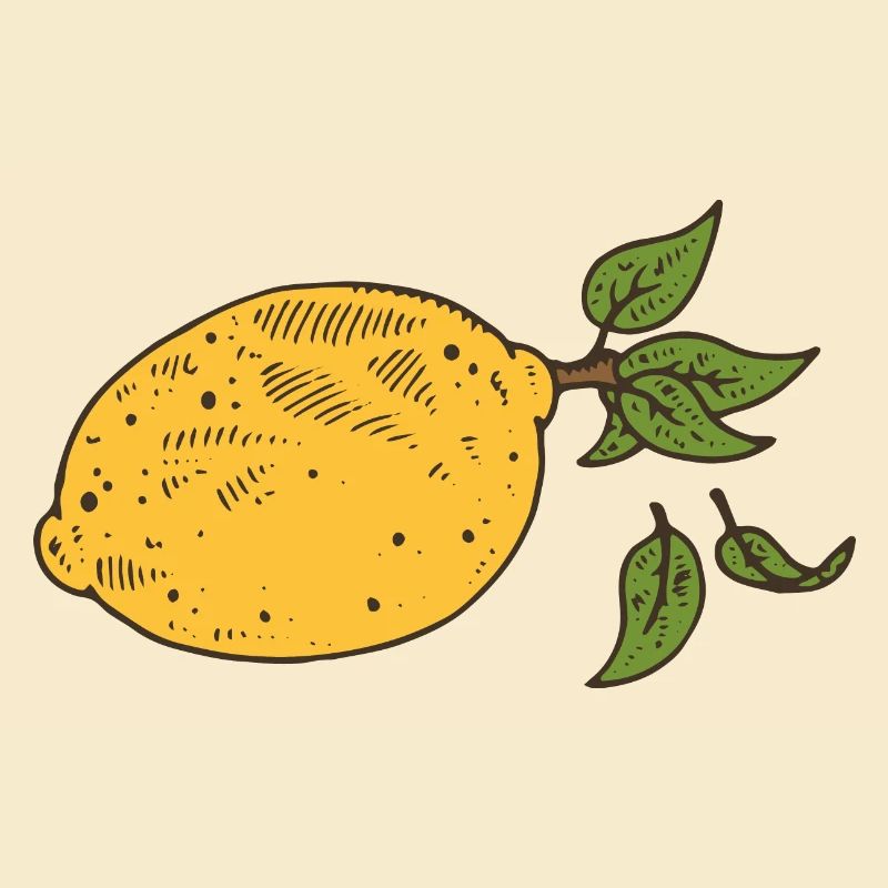 Lemon Lemon Tree Fruit lemon