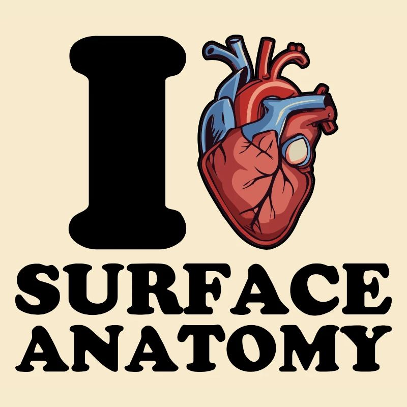 J’adore l’anatomie de surface