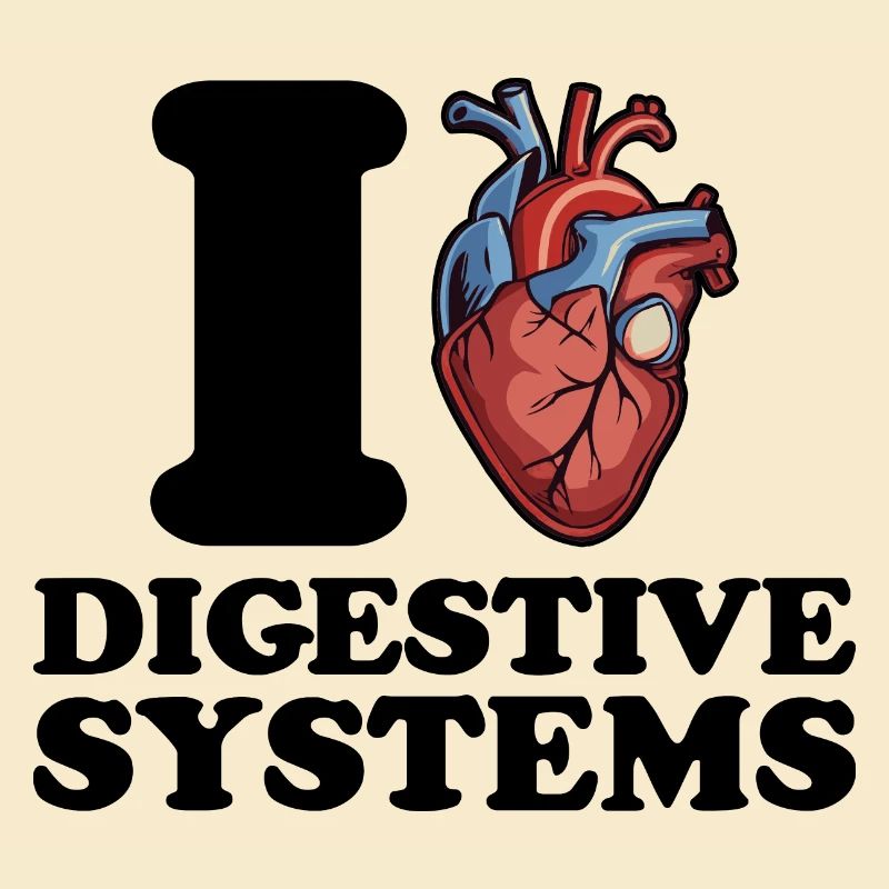 J’adore le système digestif