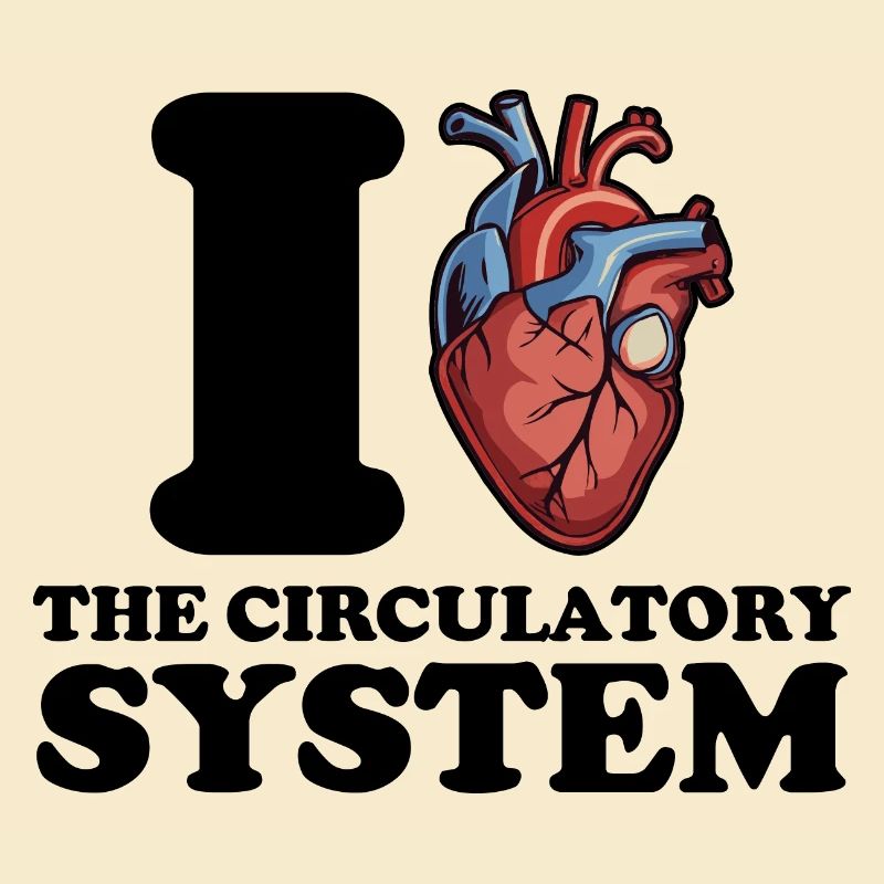 J’adore le système circulatoire