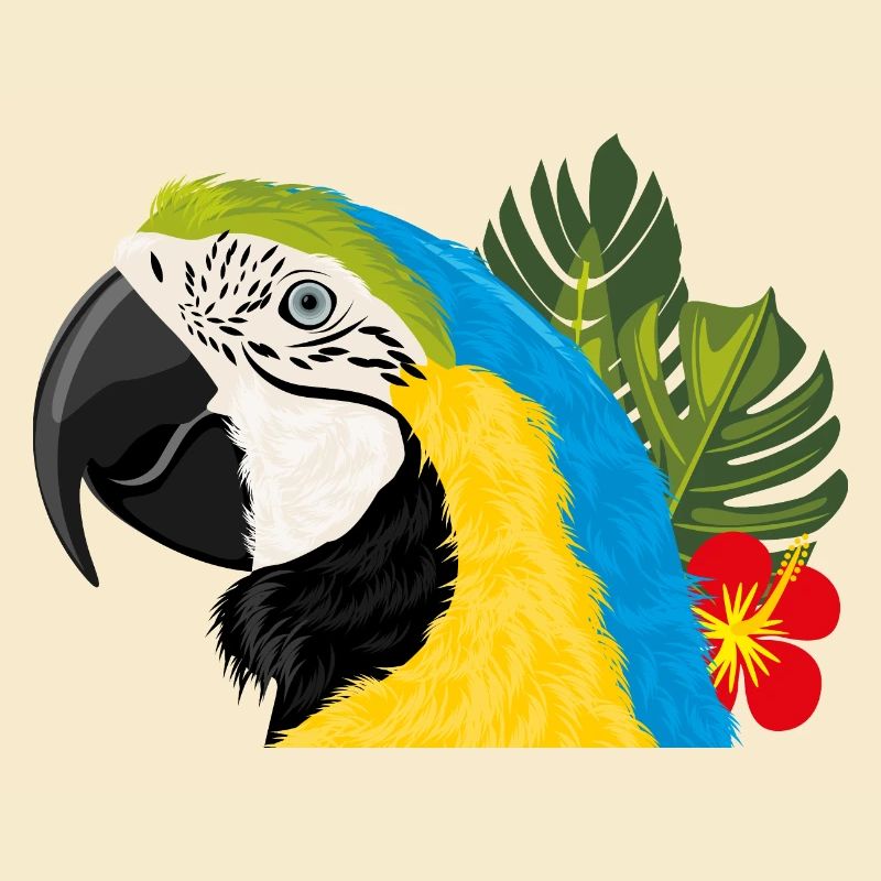 Macaw parrot