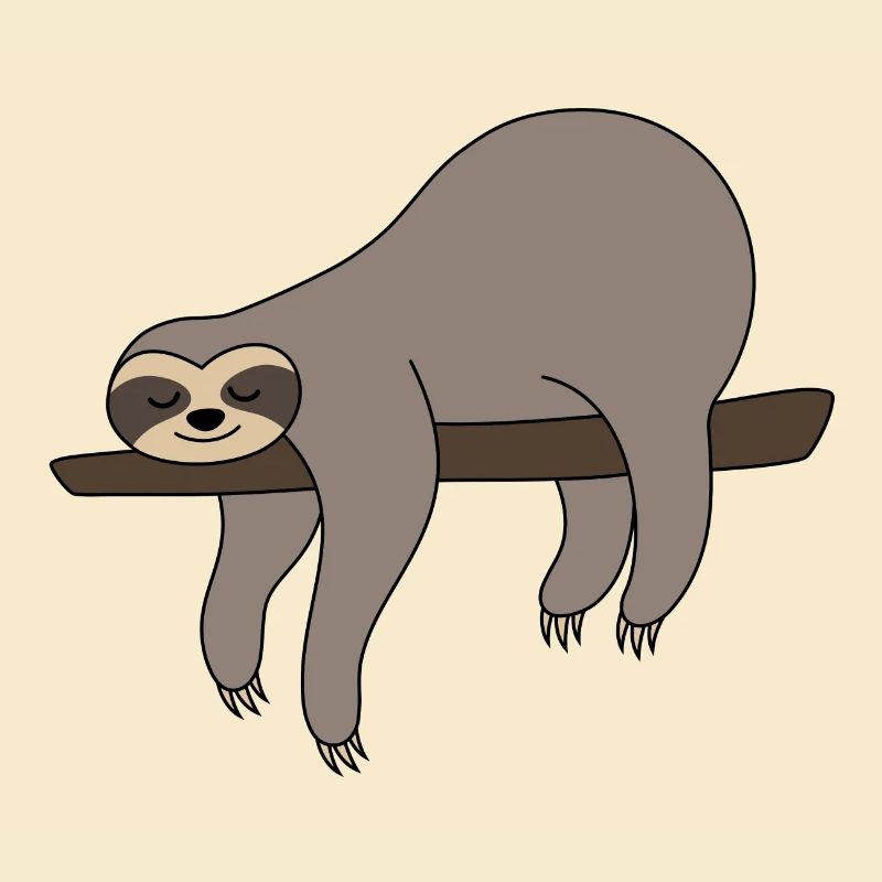 Sloth sleeping on branch sloth gray funny lazy