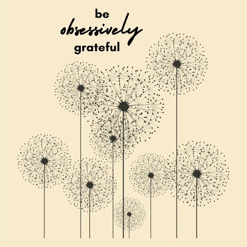 Be obsessively grateful