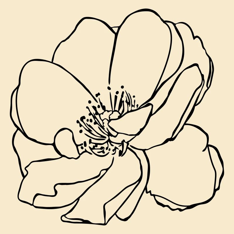 Blume minimalistisch