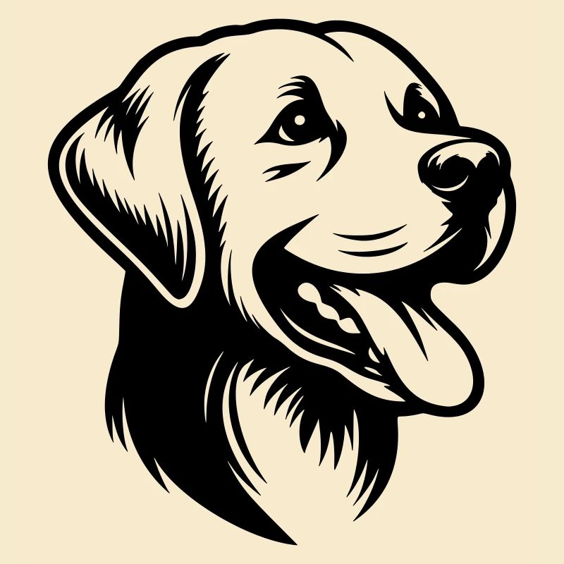 Labrador Drawing Head