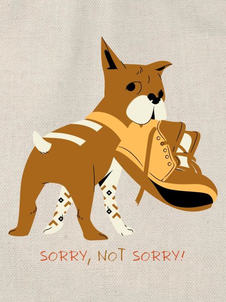 Sorry Not sorry