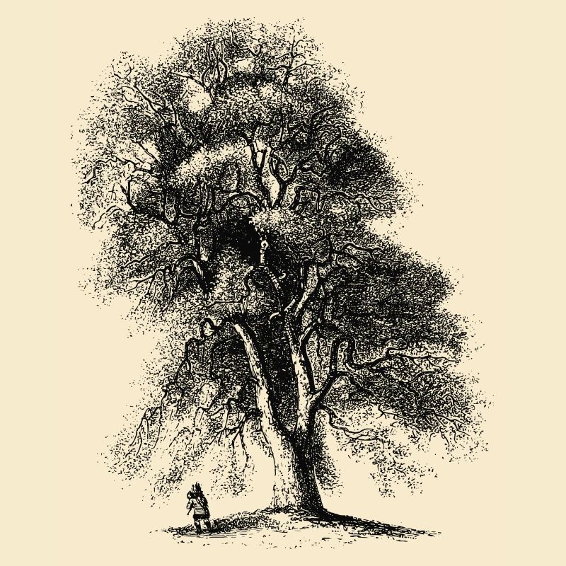 Baum-2-01