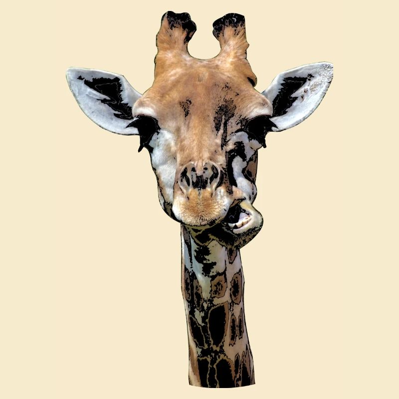 witzige Giraffe, die gerade kaut