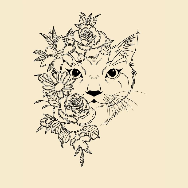 Katze