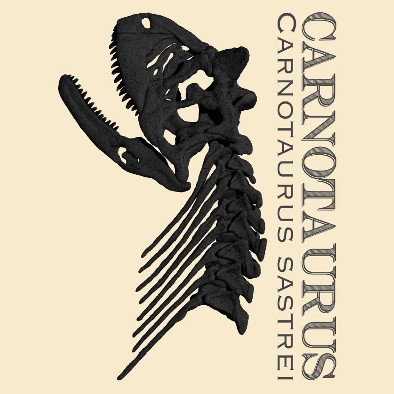 Carnotaurus Skull black