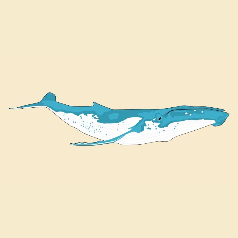 whale