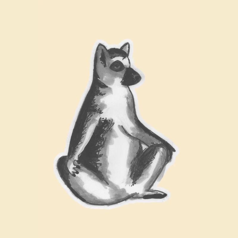 Katta - Lemur - Monkey - Half Monkey - Kattas - Lemurs