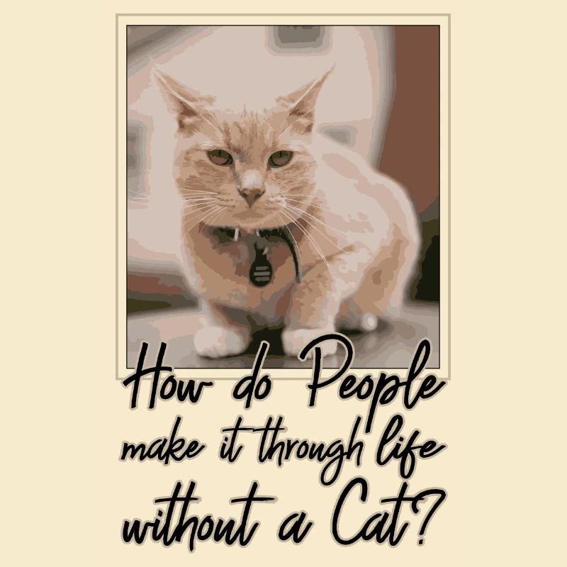 HOW DO PEOPLE MAKE IT THROUGH LIFE WITHOUT A CAT?