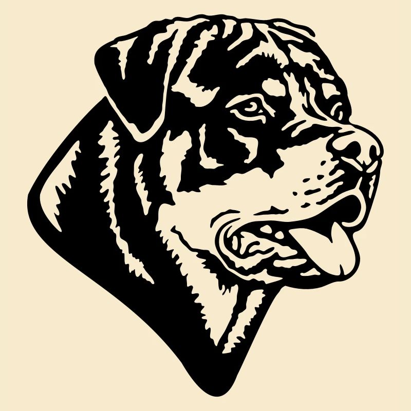 568 Rottweiler Rüde