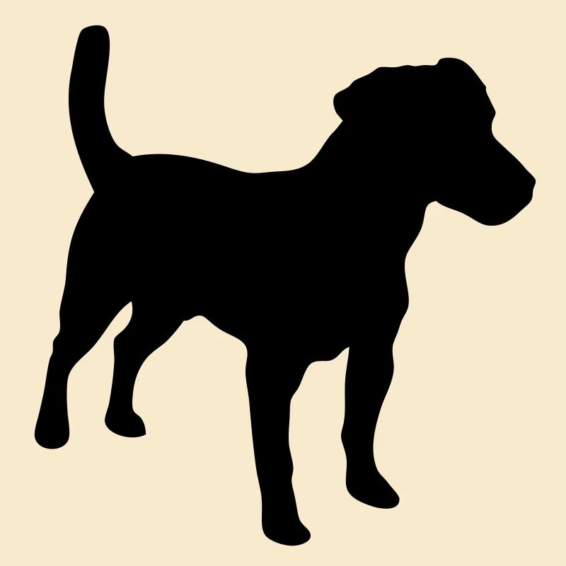 Jack Russell Terrier, Hund, Agility