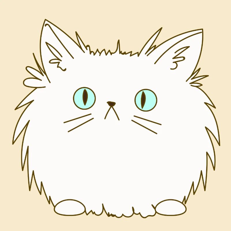Chat persan chat