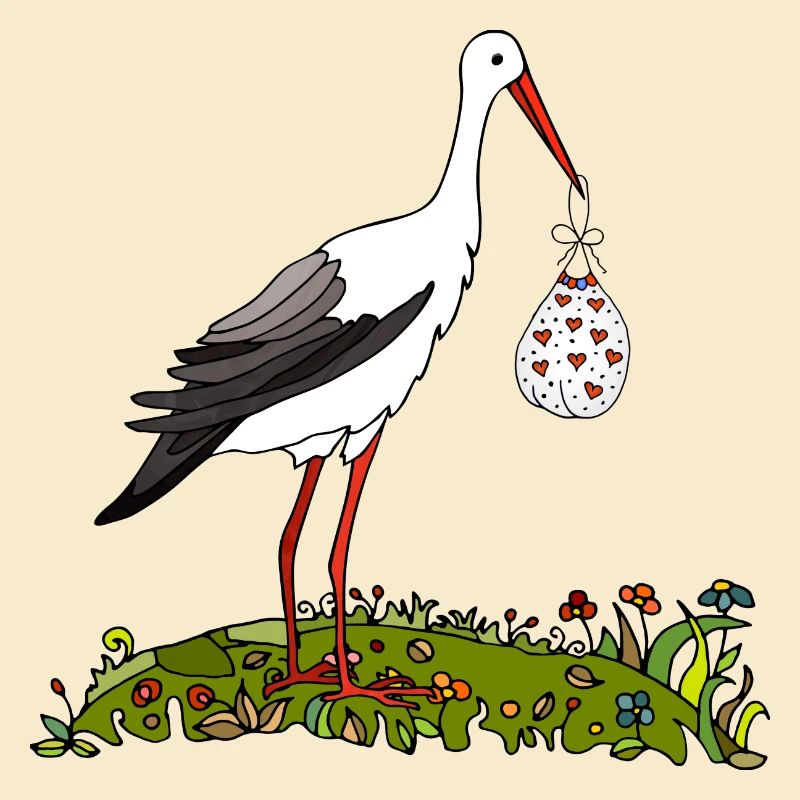 Storch