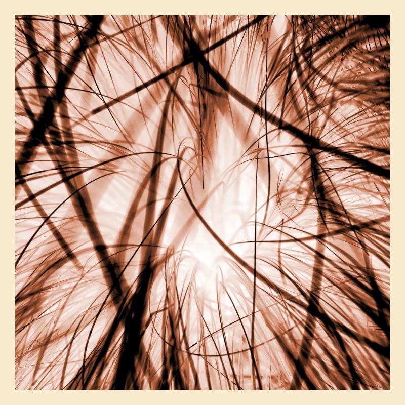 Cable clutter orange