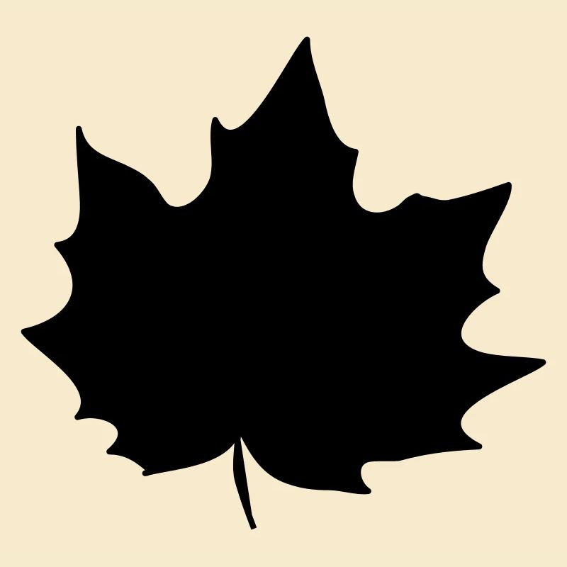 Feuille 30