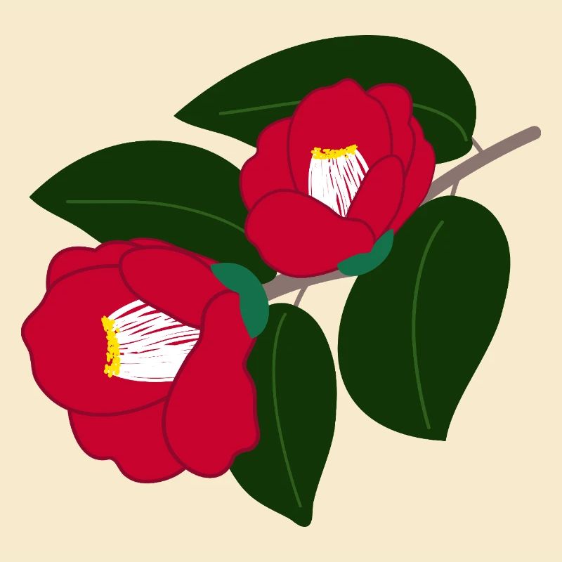 two red camellia flowers