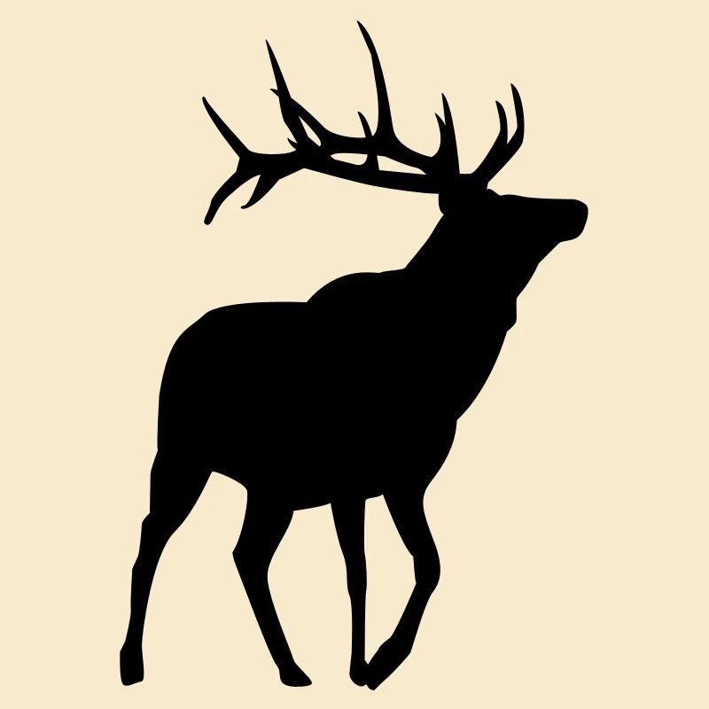 Hirsch