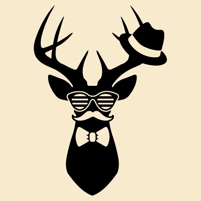 hirsch bachelor