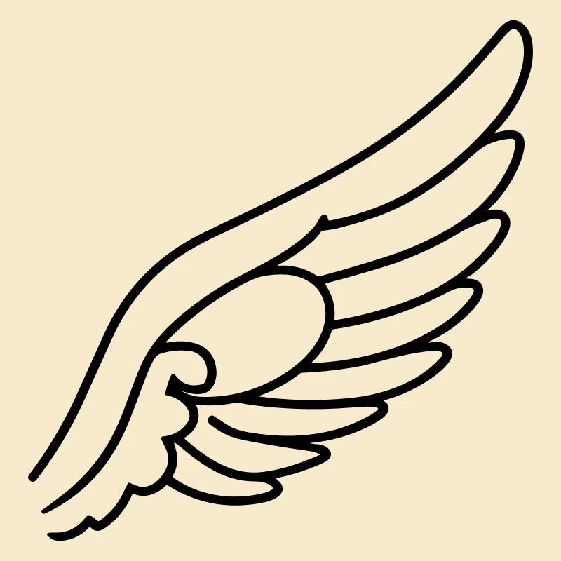 Ailes d'ange